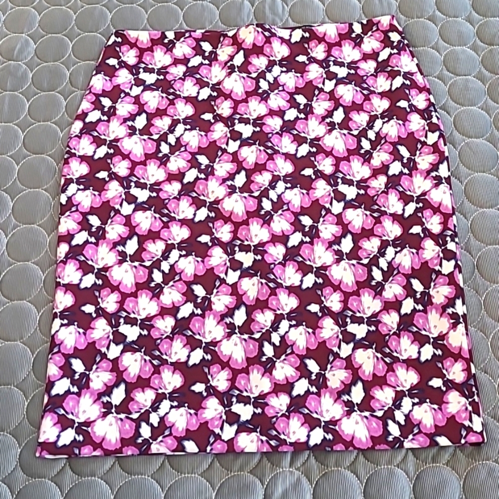 Size 4 Banana Republic Pencil Skirt